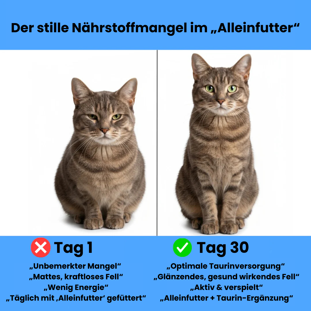 CatLements Taurine Supplement